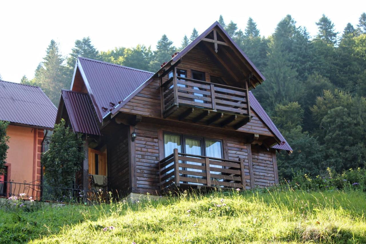 Cottage "Karpatske Shale" Jaremče Esterno foto