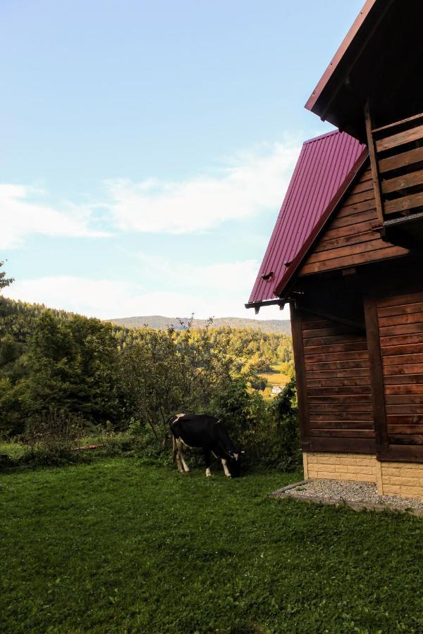 Cottage "Karpatske Shale" Jaremče Esterno foto