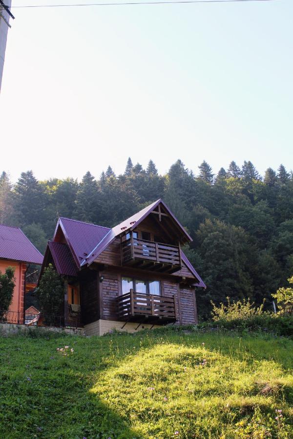 Cottage "Karpatske Shale" Jaremče Esterno foto