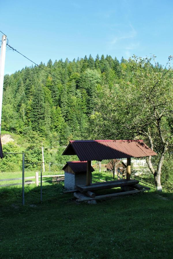 Cottage "Karpatske Shale" Jaremče Esterno foto
