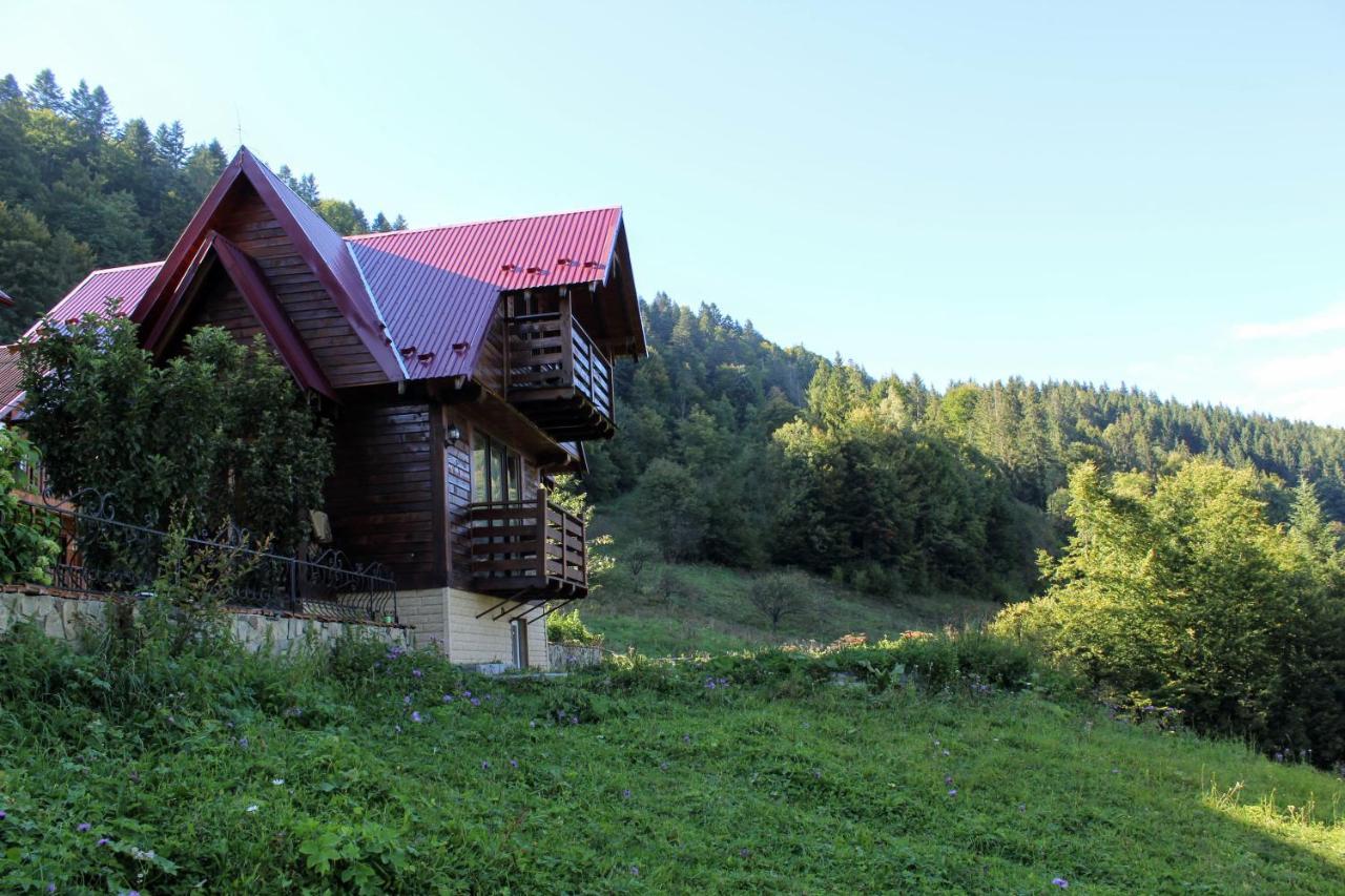Cottage "Karpatske Shale" Jaremče Esterno foto