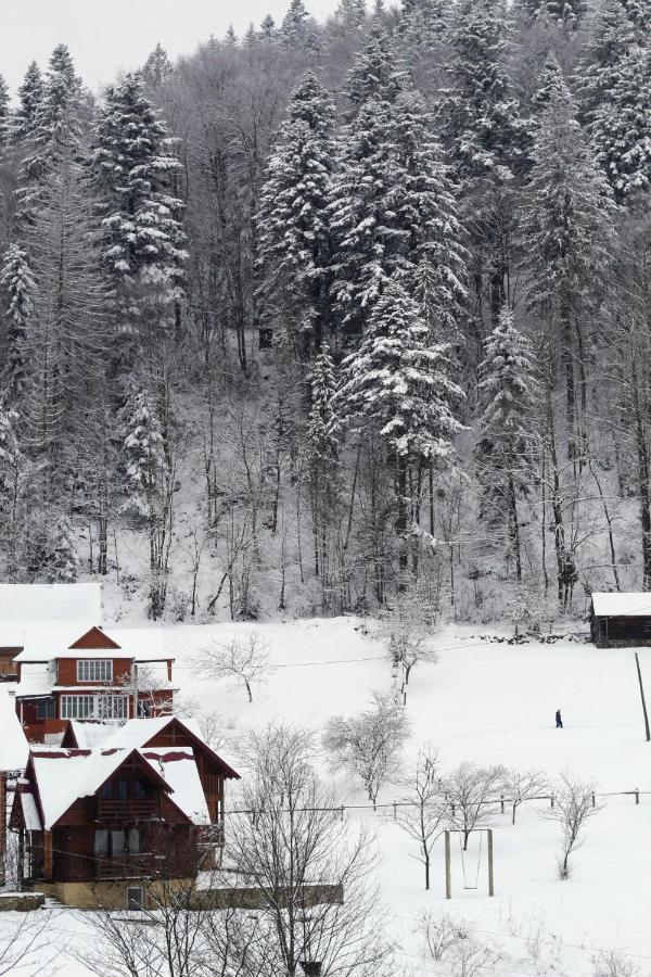 Cottage "Karpatske Shale" Jaremče Esterno foto