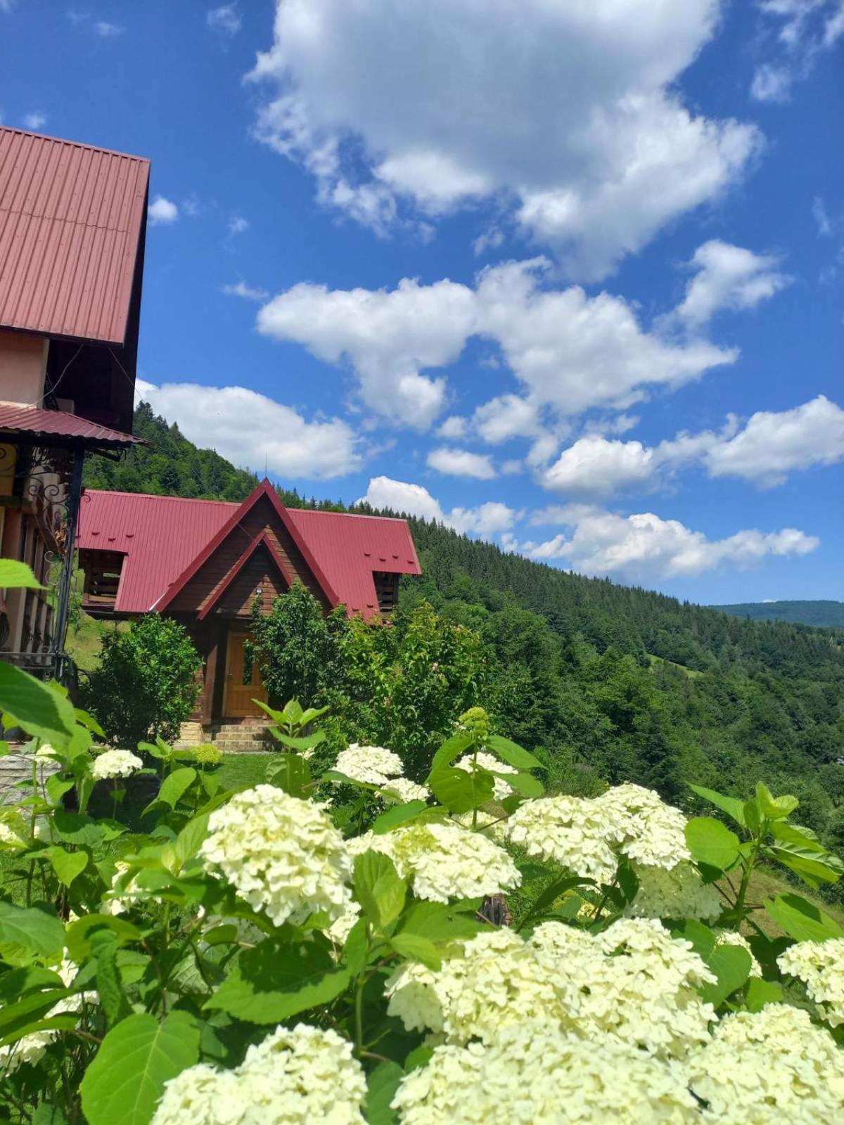Cottage "Karpatske Shale" Jaremče Esterno foto