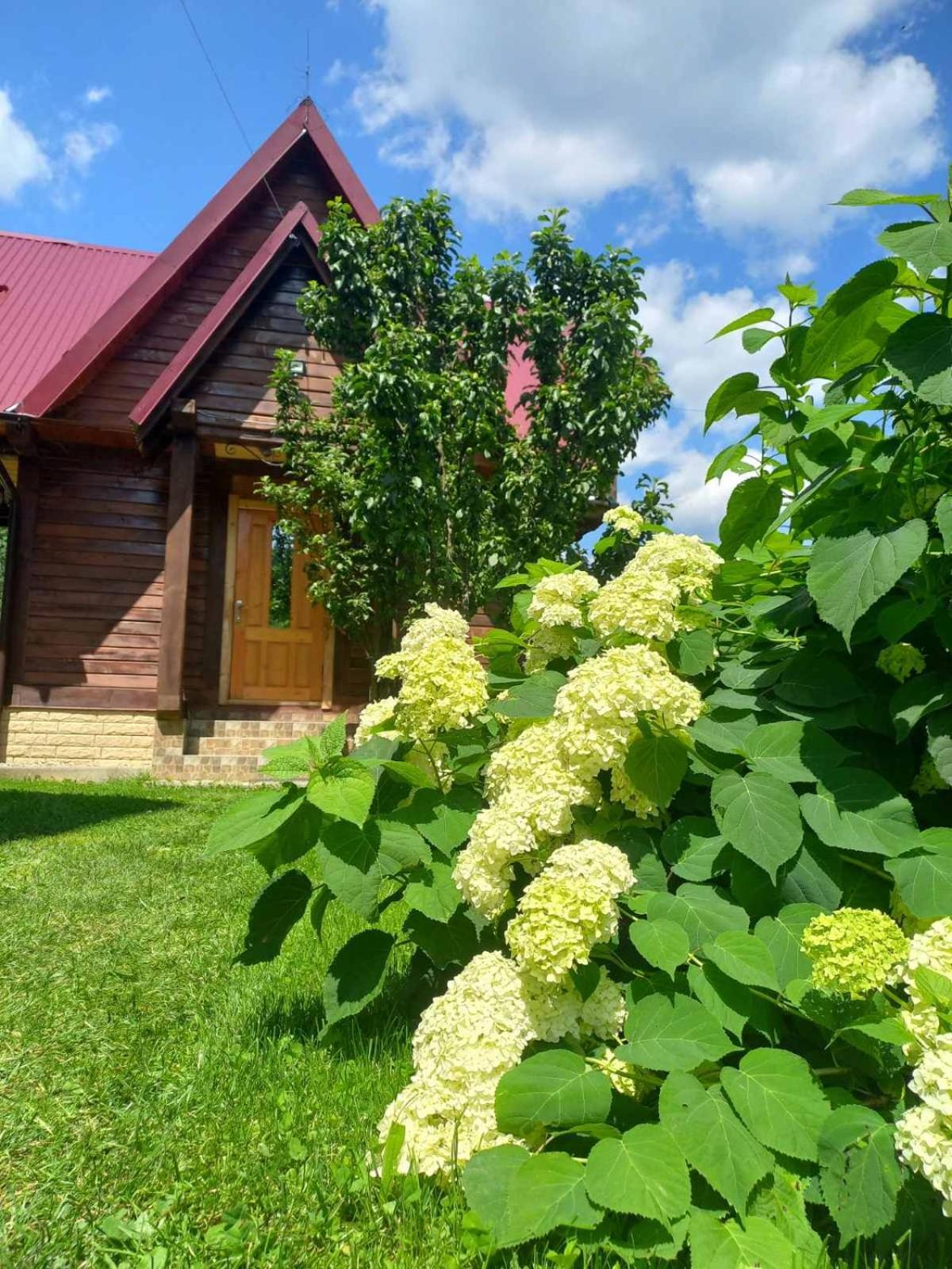 Cottage "Karpatske Shale" Jaremče Esterno foto